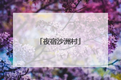 夜宿沙洲村