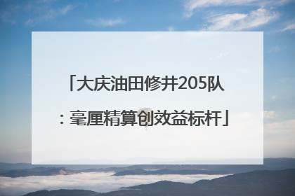 大庆油田修井205队：毫厘精算创效益标杆