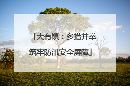 大有镇：多措并举筑牢防汛安全屏障