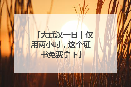 大武汉一日｜仅用两小时，这个证书免费拿下