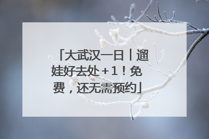 大武汉一日︱遛娃好去处＋1！免费，还无需预约