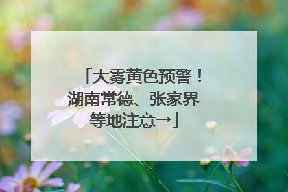 大雾黄色预警！湖南常德、张家界等地注意→
