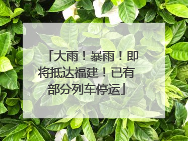 大雨！暴雨！即将抵达福建！已有部分列车停运