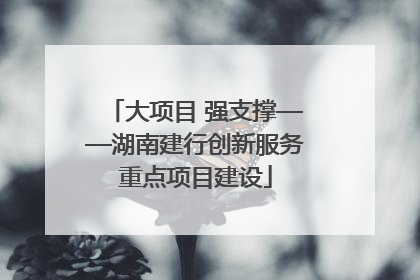 大项目 强支撑——湖南建行创新服务重点项目建设