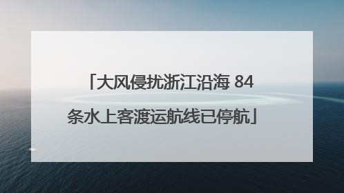 大风侵扰浙江沿海 84条水上客渡运航线已停航