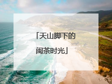 天山脚下的闽茶时光