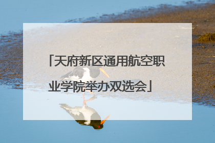 天府新区通用航空职业学院举办双选会