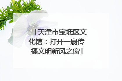 天津市宝坻区文化馆：打开一扇传播文明新风之窗