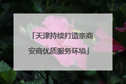 天津持续打造亲商安商优质服务环境