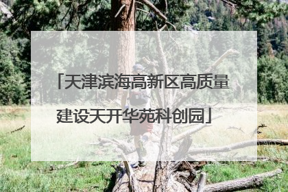 天津滨海高新区高质量建设天开华苑科创园