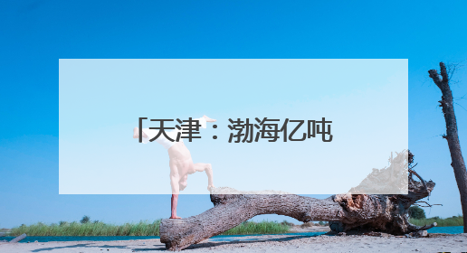 天津：渤海亿吨级油田海上平台陆地建造工作收官