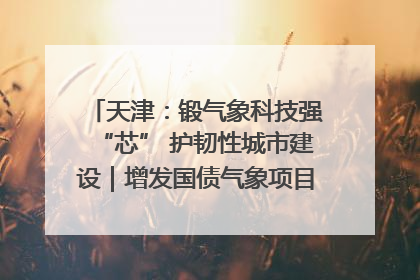 天津：锻气象科技强“芯” 护韧性城市建设｜增发国债气象项目落地见效系列报道