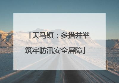 天马镇：多措并举筑牢防汛安全屏障