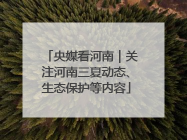 央媒看河南｜关注河南三夏动态、生态保护等内容