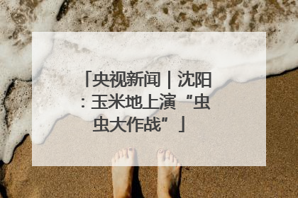 央视新闻｜沈阳：玉米地上演“虫虫大作战”