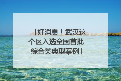 好消息！武汉这个区入选全国首批综合类典型案例