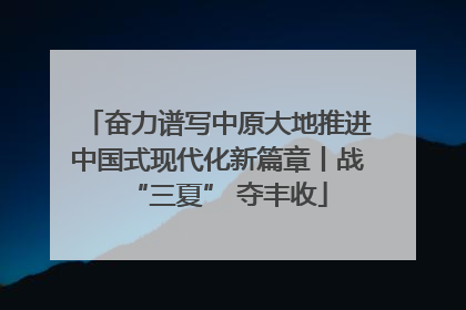 奋力谱写中原大地推进中国式现代化新篇章丨战“三夏” 夺丰收