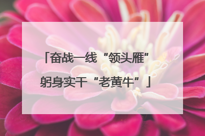 奋战一线“领头雁” 躬身实干“老黄牛”