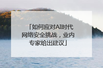 如何应对AI时代网络安全挑战，业内专家给出建议