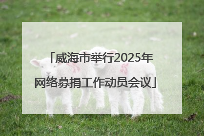 威海市举行2025年网络募捐工作动员会议