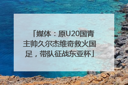媒体：原U20国青主帅久尔杰维奇救火国足，带队征战东亚杯
