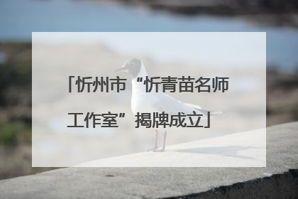 忻州市“忻青苗名师工作室”揭牌成立