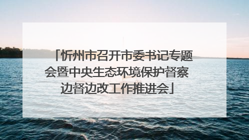 忻州市召开市委书记专题会暨中央生态环境保护督察边督边改工作推进会