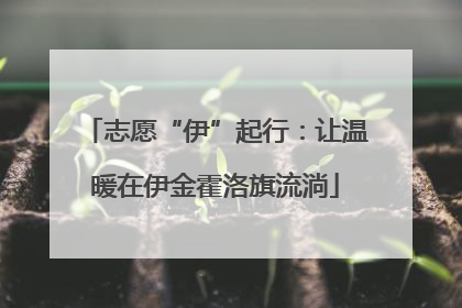 志愿“伊”起行：让温暖在伊金霍洛旗流淌
