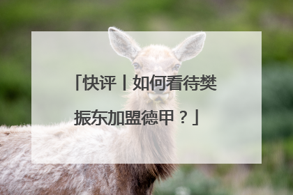 快评丨如何看待樊振东加盟德甲？