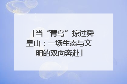 当“青鸟”掠过舜皇山：一场生态与文明的双向奔赴