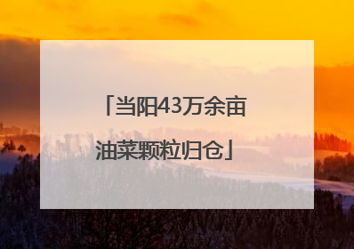 当阳43万余亩油菜颗粒归仓