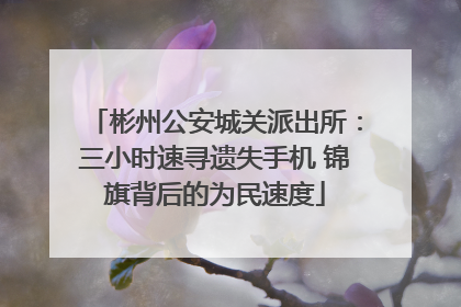 彬州公安城关派出所：三小时速寻遗失手机 锦旗背后的为民速度