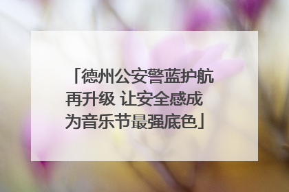 德州公安警蓝护航再升级 让安全感成为音乐节最强底色