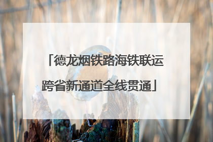 德龙烟铁路海铁联运跨省新通道全线贯通