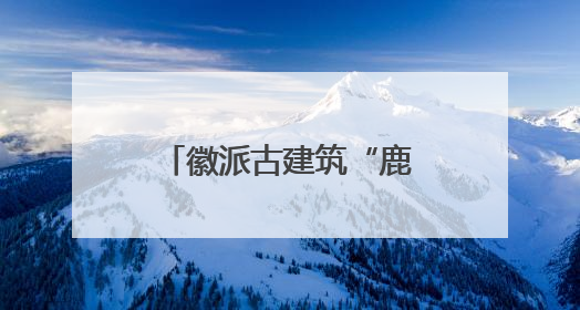 徽派古建筑“鹿鸣堂”“博观楼”捐赠暨启用仪式在上海大学举行