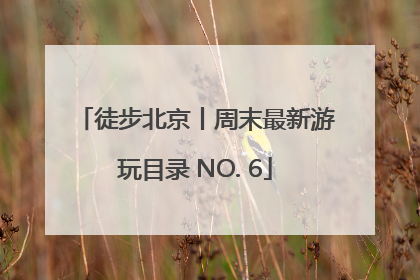 徒步北京丨周末最新游玩目录 NO. 6