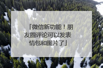 微信新功能！朋友圈评论可以发表情包和图片了