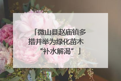 微山县赵庙镇多措并举为绿化苗木“补水解渴”