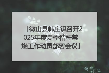 微山县韩庄镇召开2025年度夏季秸秆禁烧工作动员部署会议
