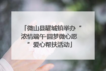 微山县驩城镇举办“浓情端午·圆梦微心愿”爱心帮扶活动