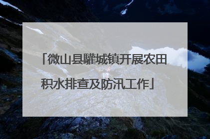 微山县驩城镇开展农田积水排查及防汛工作