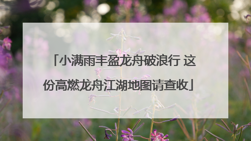小满雨丰盈龙舟破浪行 这份高燃龙舟江湖地图请查收