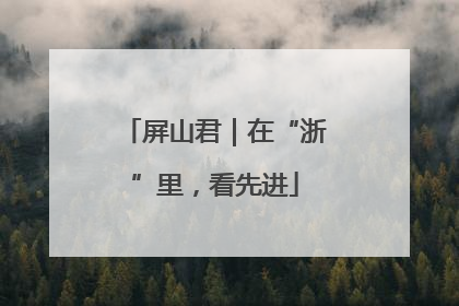 屏山君｜在“浙”里，看先进