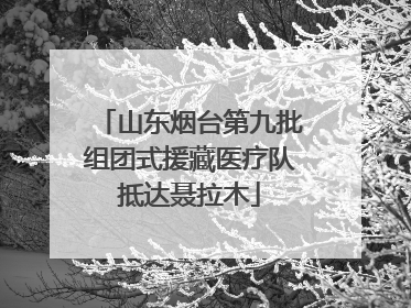 山东烟台第九批组团式援藏医疗队抵达聂拉木