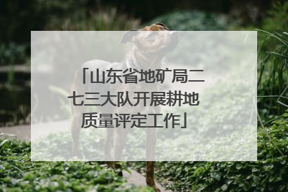 山东省地矿局二七三大队开展耕地质量评定工作