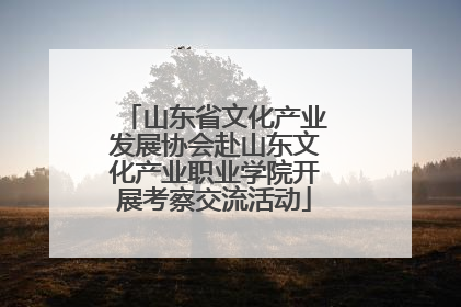 山东省文化产业发展协会赴山东文化产业职业学院开展考察交流活动