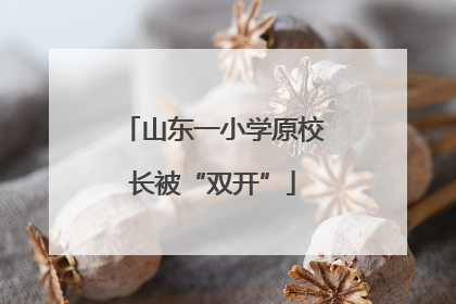 山东一小学原校长被“双开”