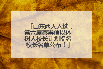 山东两人入选，第六届蔡崇信以体树人校长计划提名校长名单公布！