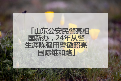 山东公安民警亮相国新办，24年从警生涯陈强用警徽照亮国际维和路