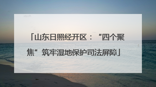 山东日照经开区：“四个聚焦”筑牢湿地保护司法屏障